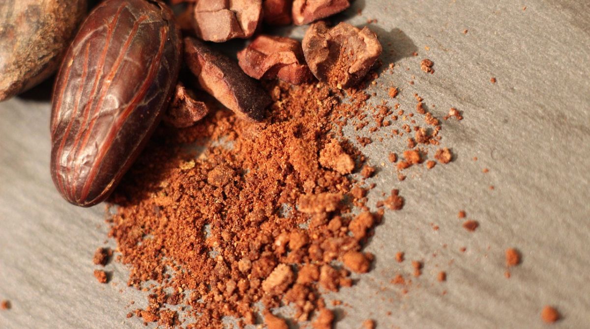 5 Cara Mengolah Coklat Bubuk Jadi Makanan Dan Minuman Lezat!
